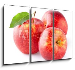 Obraz   Red apples, 105 x 70 cm
