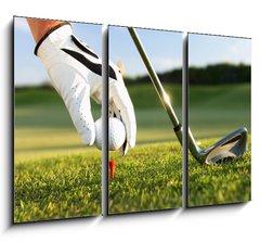 Obraz 3D tdln - 105 x 70 cm F_BB8489083 - golf tee