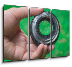 Obraz   Mobile lenses on a green lawn., 105 x 70 cm