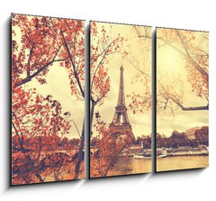Obraz 3D tdln - 105 x 70 cm F_BB90896299 - The eiffel tower in paris
