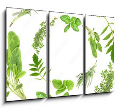 Obraz 3D tdln - 105 x 70 cm F_BB9167074 - Herb Garlands