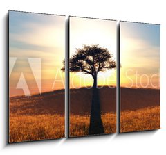 Obraz 3D tdln - 105 x 70 cm F_BB91708972 - sunset and tree - zpad slunce a strom