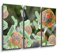 Obraz 3D tdln - 105 x 70 cm F_BB92014317 - Bacteria and viruses (Hepatitis A virus) on colorful background. Medical background. Healthcare background