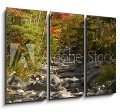 Obraz 3D tdln - 105 x 70 cm F_BB93409854 - The Baker River flows through fall foliage, Warren, New Hampshir