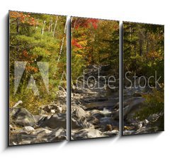 Obraz   The Baker River flows through fall foliage, Warren, New Hampshir, 105 x 70 cm