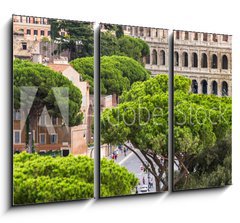 Obraz 3D tdln - 105 x 70 cm F_BB94095592 - Exterior view of the Colosseum in Rome with green trees around.