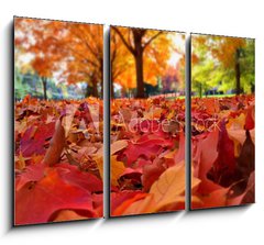 Obraz   autumn leaves, 105 x 70 cm