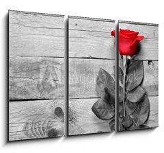 Obraz 3D tdln - 105 x 70 cm F_BB95876705 - Red rose on black and white wooden background
