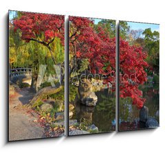 Obraz 3D tdln - 105 x 70 cm F_BB9821471 - summer japanese landscape with pond and trees