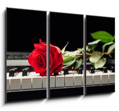 Obraz 3D tdln - 105 x 70 cm F_BB98331602 - piano keys and red rose