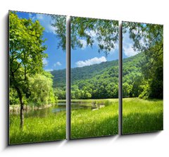 Obraz 3D tdln - 105 x 70 cm F_BB9878015 - summer landscape with river and blue sky