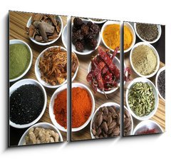 Obraz 3D tdln - 105 x 70 cm F_BB9904421 - Spices for the World