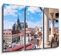 Obraz 3D tdln - 105 x 70 cm F_BB99738297 - Cathedral of Saints Peter and Paul, Petrov, town Brno, Moravia, Czech republic - Katedrla svatch Petra a Pavla, Petrov, msto Brno, Morava, esk republika