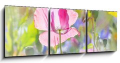 Obraz 3D třídílný - 150 x 50 cm F_BM100106194 - summer meadow with red poppy - letní louka s červeným mákem