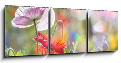 Obraz 3D třídílný - 150 x 50 cm F_BM100107634 - spring meadow with red poppies - jarní louka s červenými máky