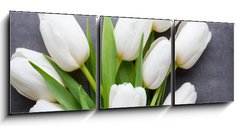 Obraz 3D tdln - 150 x 50 cm F_BM105673696 - More white tulip on the grey background.