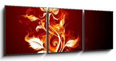 Obraz 3D tdln - 150 x 50 cm F_BM10647210 - Fire rose