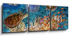 Obraz 3D tdln - 150 x 50 cm F_BM107412265 - Colorful coral reef with many fishes and sea turtle