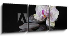 Obraz 3D třídílný - 150 x 50 cm F_BM107550516 - Orchid and stones in water with reflectio - Orchidej a kameny ve vodě s reflexí