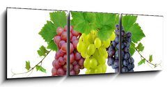 Obraz 3D tdln - 150 x 50 cm F_BM10964464 - Three fresh grapes