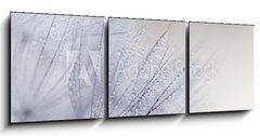 Obraz 3D tdln - 150 x 50 cm F_BM110156010 - Plant seeds with water drops