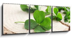 Obraz 3D třídílný - 150 x 50 cm F_BM110661857 - Green clover leaves on a piece of wood, closeup