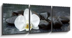 Obraz 3D tdln - 150 x 50 cm F_BM113515481 - White orchid and black stones close up.