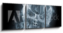 Obraz 3D třídílný - 150 x 50 cm F_BM11412559 - Skull - smoke - krátké veslo