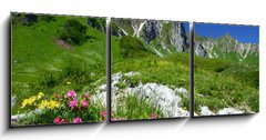 Obraz 3D tdln - 150 x 50 cm F_BM11754961 - spring in the alps