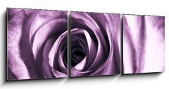 Obraz 3D tdln - 150 x 50 cm F_BM11865044 - Purple rose