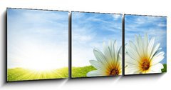 Obraz 3D tdln - 150 x 50 cm F_BM11940225 - Spring