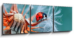 Obraz 3D třídílný - 150 x 50 cm F_BM121417091 - freedom - svoboda