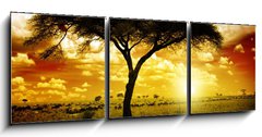 Obraz 3D tdln - 150 x 50 cm F_BM12197040 - Africa Sunset - Afrika Zpad slunce