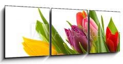 Obraz 3D tdln - 150 x 50 cm F_BM12262368 - colored flowers - barevn kvty