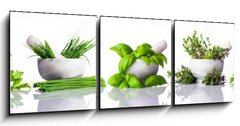 Obraz 3D tdln - 150 x 50 cm F_BM122892380 - Pestle and Mortar with Green Herbs on White Background