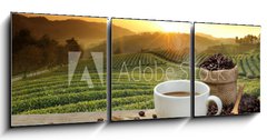 Obraz   Hot Coffee cup with Coffee beans on the wooden table and the pla, 150 x 50 cm