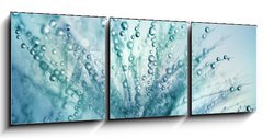 Obraz   Dandelion Seeds in the drops of dew on a beautiful blurred background. Dandelions on a beautiful blue background. Drops of dew sparkle on the dandelion., 150 x 50 cm