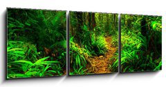 Obraz 3D tdln - 150 x 50 cm F_BM131189225 - nature as are plant on the montains 