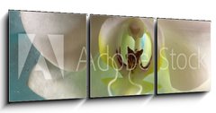 Obraz 3D třídílný - 150 x 50 cm F_BM131453203 - Orchid - Orchidej