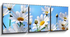 Obraz 3D tdln - 150 x 50 cm F_BM13584171 - Flowers