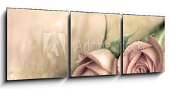 Obraz 3D tdln - 150 x 50 cm F_BM13808846 - zwei rosen