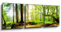 Obraz 3D třídílný - 150 x 50 cm F_BM139969469 - Idyllischer Wald mit Bach bei Sonnenaufgang