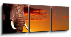 Obraz   African nature concept, 150 x 50 cm