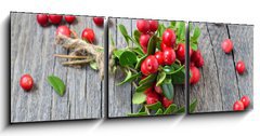 Obraz 3D třídílný - 150 x 50 cm F_BM141541258 - Bunch of red cowberry - Banda červené brusinky