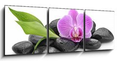 Obraz 3D třídílný - 150 x 50 cm F_BM144086994 - zen basalt stones ,orchid and bamboo - čedičové kameny zen, orchidej a bambus