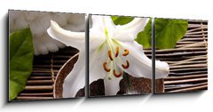 Obraz   Spa composition of white madonna lily, 150 x 50 cm