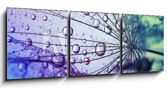Obraz 3D tdln - 150 x 50 cm F_BM146436696 -  dandelion flower background