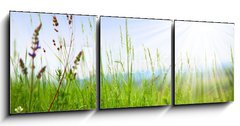 Obraz 3D tdln - 150 x 50 cm F_BM14694795 - Grass