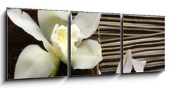 Obraz   bowl of orchid, petal on bamboo mat, 150 x 50 cm