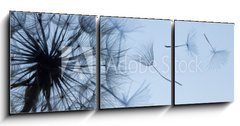 Obraz 3D tdln - 150 x 50 cm F_BM149304809 - Dandelion silhouette fluffy flower on blue sunset sky